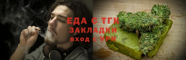 дмт Козельск