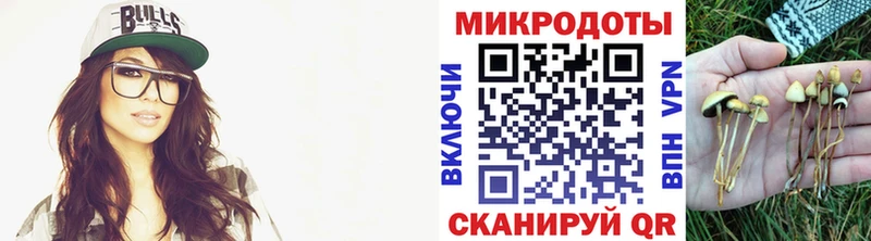 Псилоцибиновые грибы Psilocybine cubensis  Миллерово 